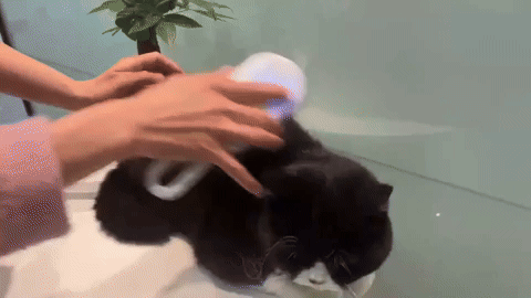 Elimina el pelo suelto de tu mascota en minutos