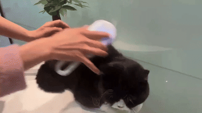 Elimina el pelo suelto de tu mascota en minutos