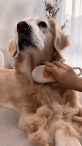 Elimina el pelo suelto de tu mascota en minutos
